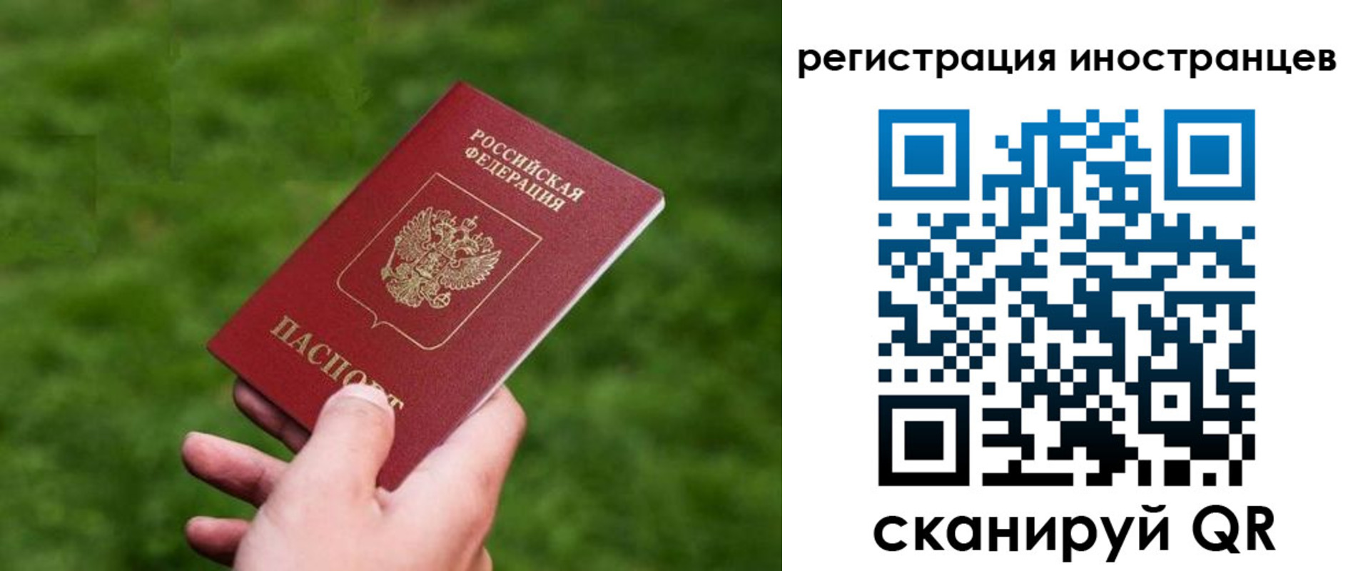 прописка ребенка в Талдоме